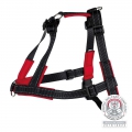 Bild 2 von Trixie Trainingsgeschirr Lead'n'Walk Soft  / (Variante) XS-S